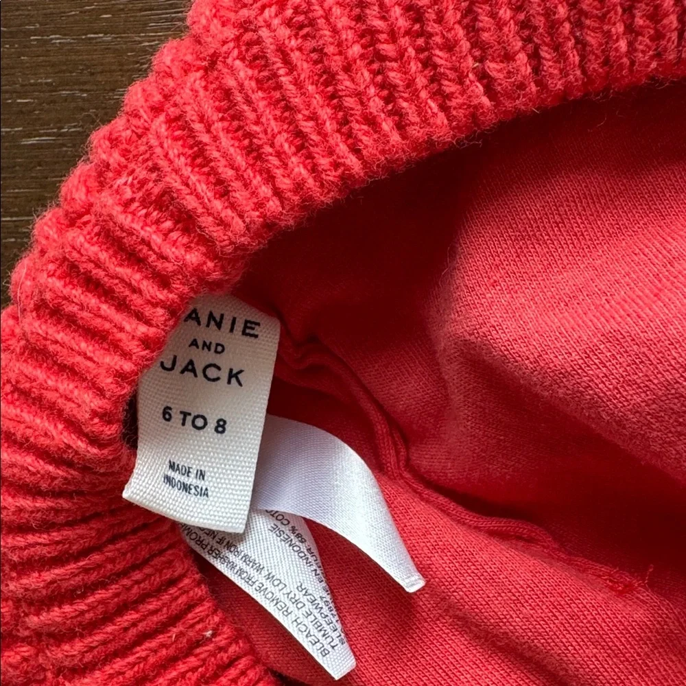 Janie and Jack sweater beret
